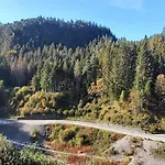 Casa Al Tra Le Dolomiti * Pieve di Cadore